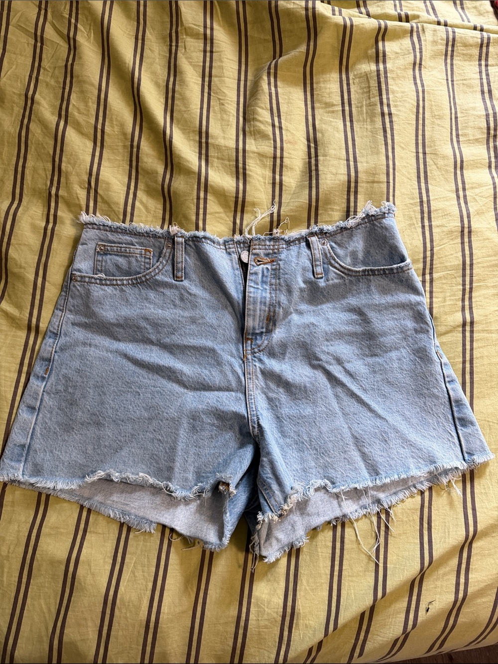 BDG Raw Hem Denim Shorts
